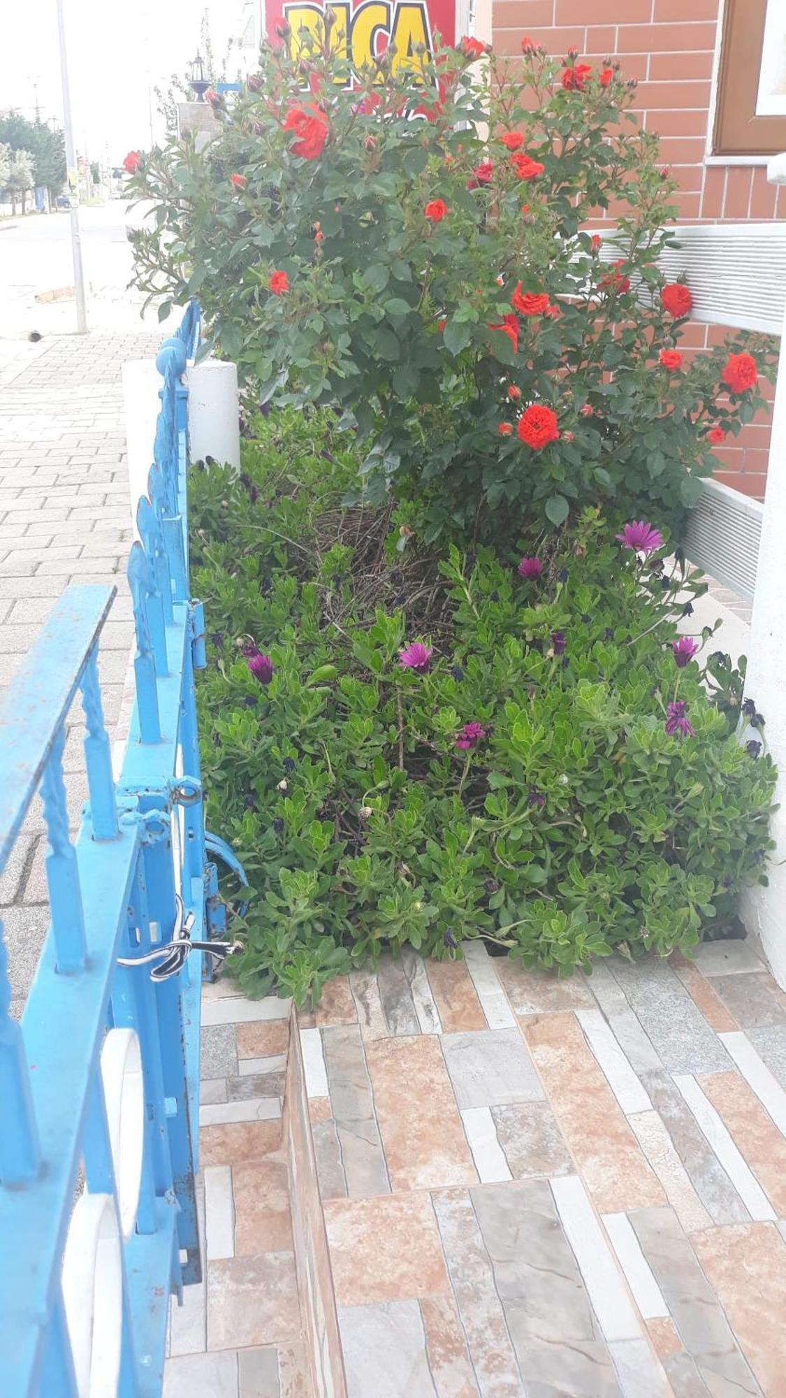 Shuka Ksamil Hotel 5*